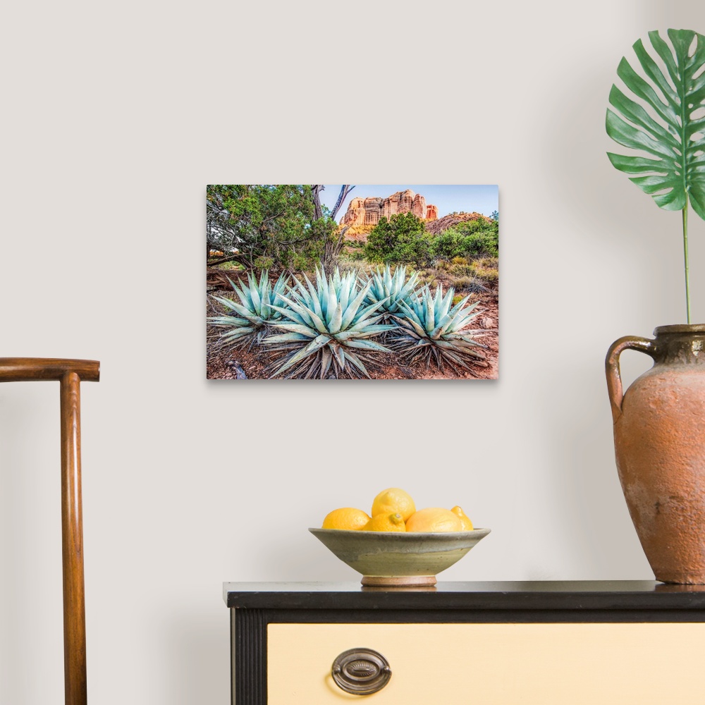 A traditional room featuring Landscape photograph of Agave plants in Sedona, AZ with Cathedral Rock in the background.