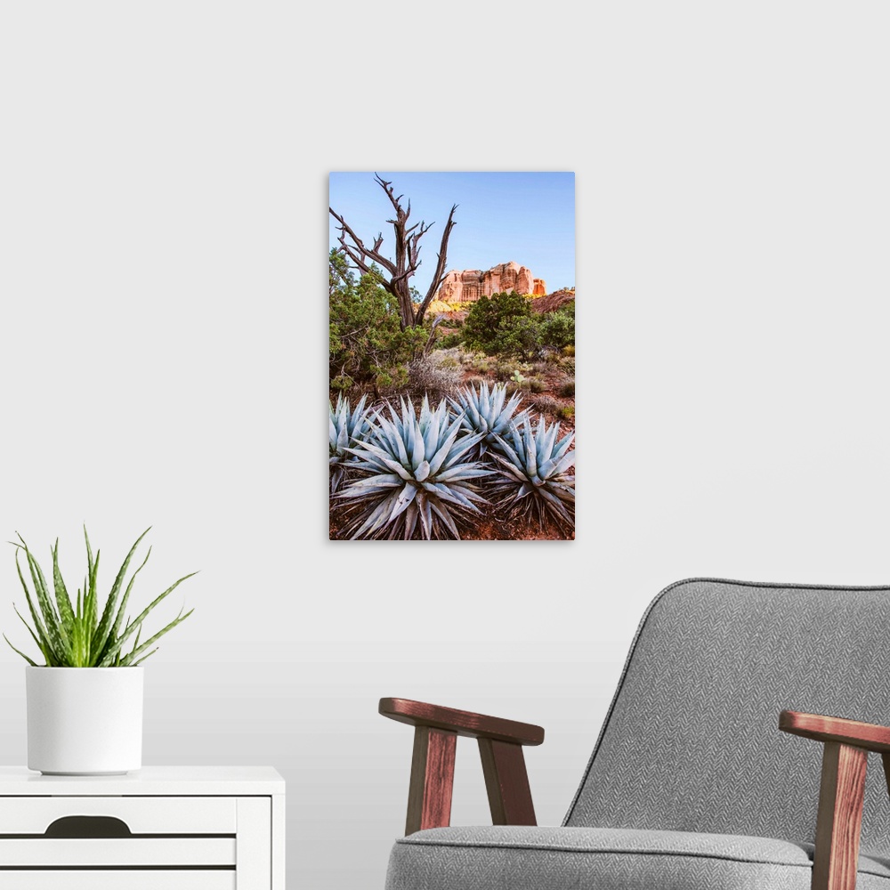 A modern room featuring View of agave plants with Cathedral Rock in the background, Sedona, Arizona.