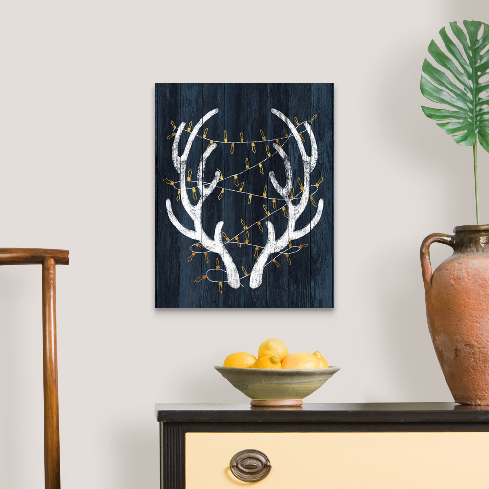 A traditional room featuring Antlers & Lights