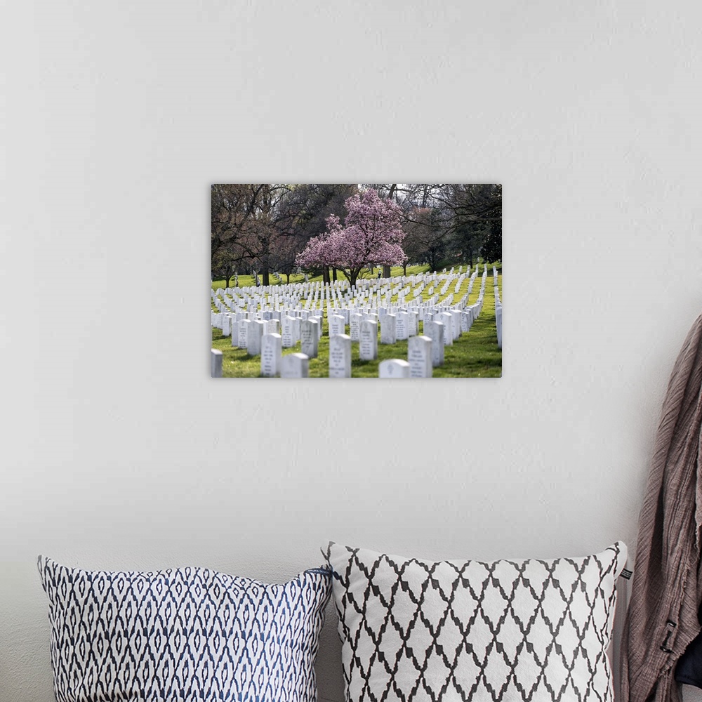 A bohemian room featuring Military cemetery in Arlington, Virginia, with a cherry tree in bloom.