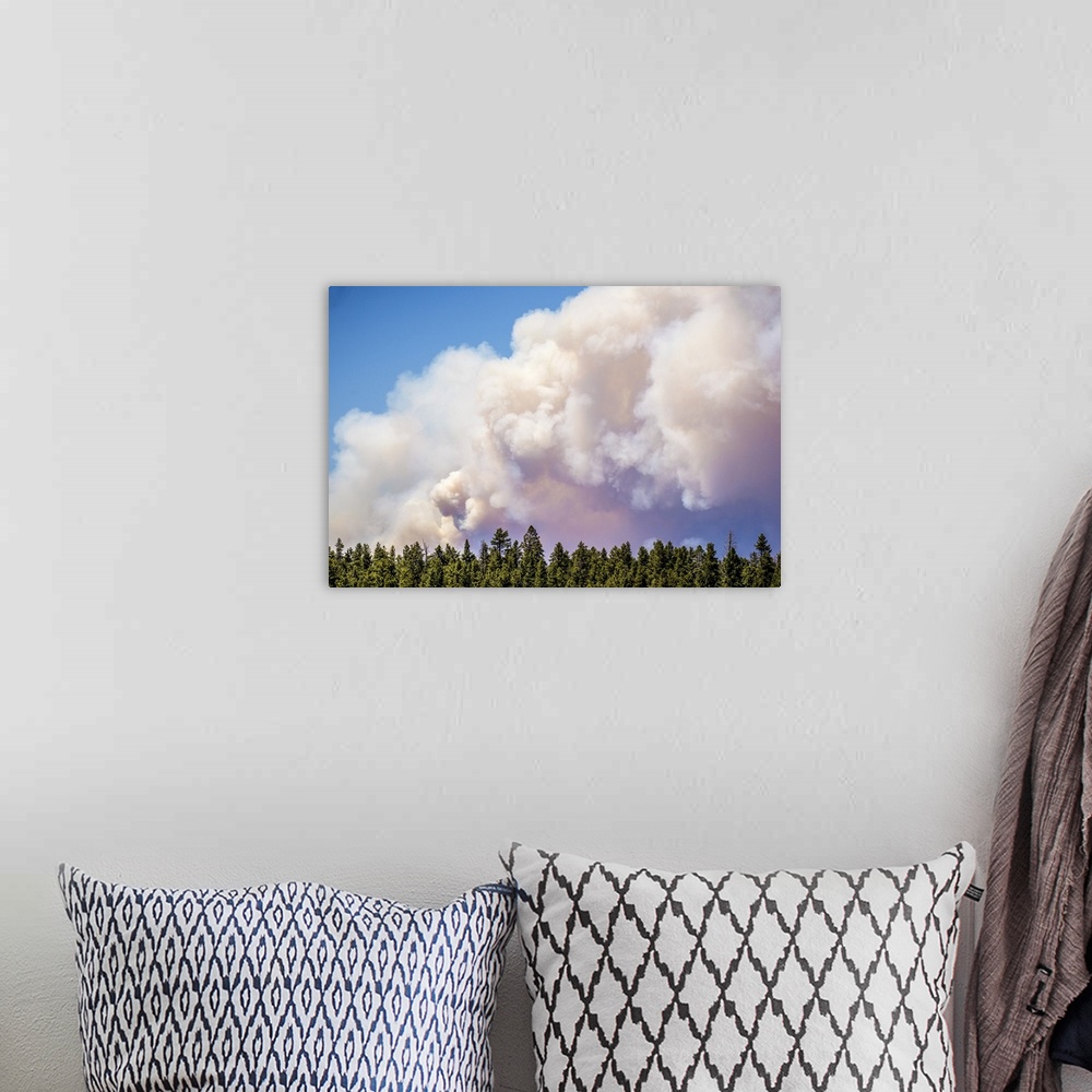 A bohemian room featuring The sky over a line of pine trees fills with dark smoke from the Brian Head forest fire in Utah.