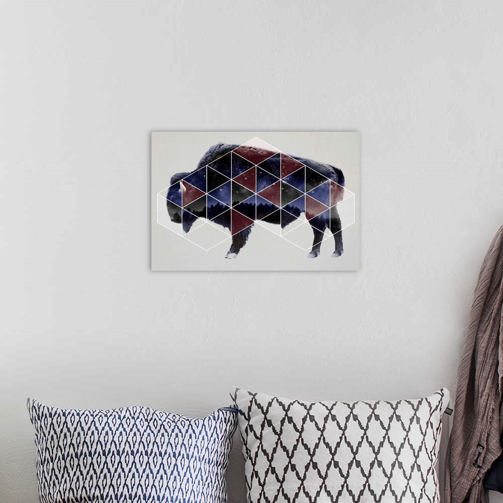 A bohemian room featuring Double exposure artwork of a bison in profile with a triangular pattern and the night sky.