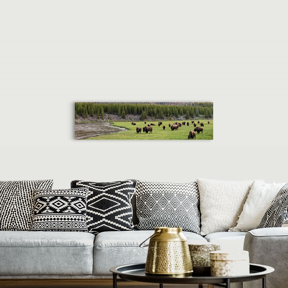 A bohemian room featuring Panoramic photograph of bison in a meadow at Yellowstone National Park.