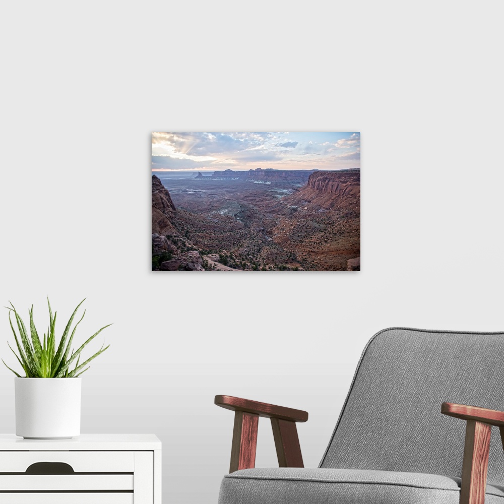 A modern room featuring Small bushes and red sandstone make up the canyon landscape at Canyonlands National Park, Moab, U...