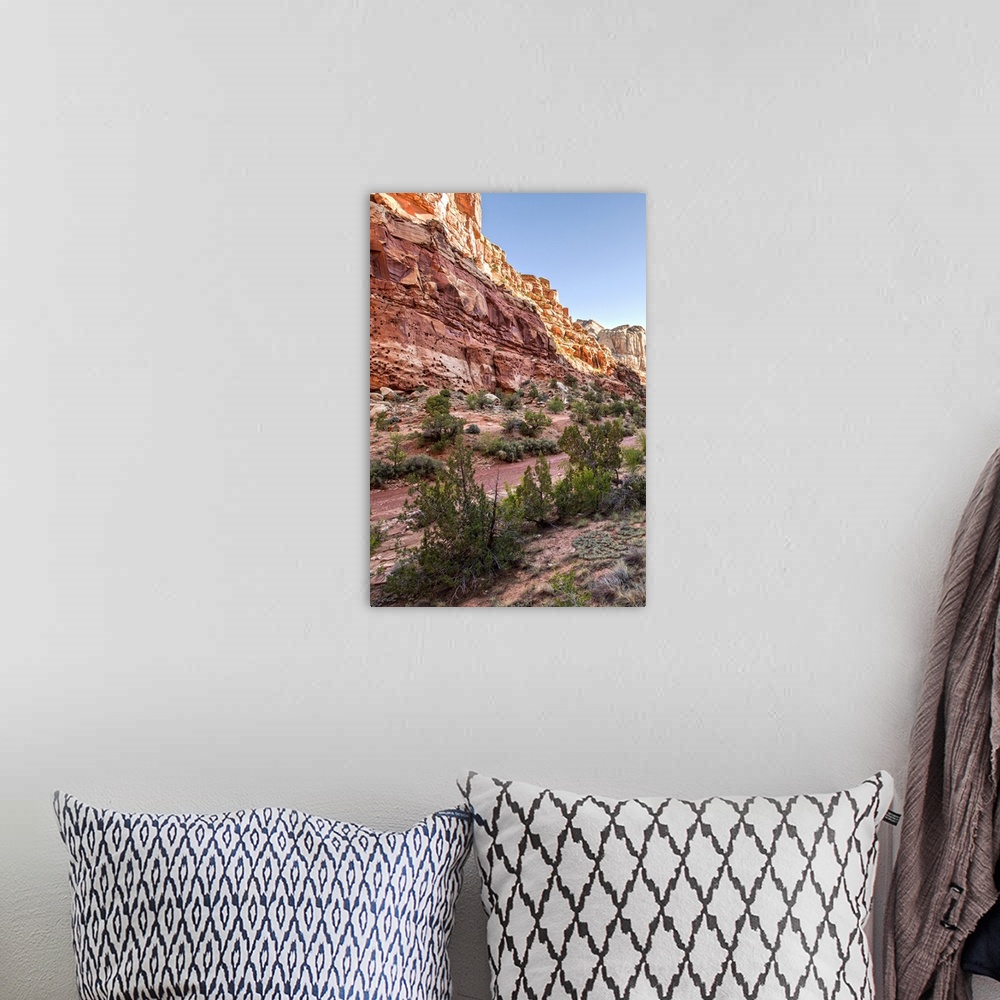 A bohemian room featuring Vegetation on Capitol Gorge Road in Capitol Reef National Park, Utah.