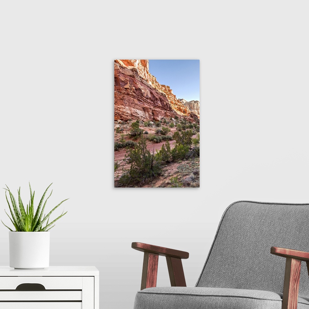 A modern room featuring Vegetation on Capitol Gorge Road in Capitol Reef National Park, Utah.