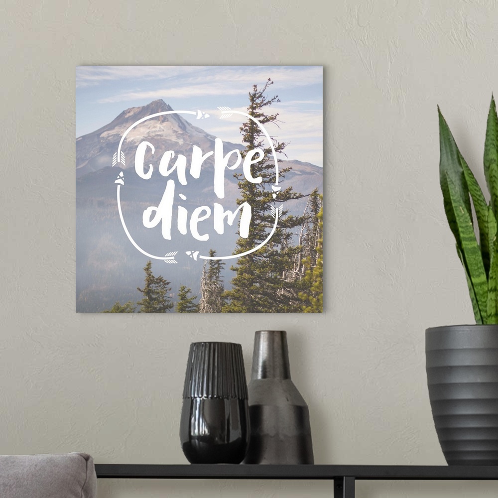 A modern room featuring "Carpe Diem" decorated with arrows over an image of a mountain and pine trees.