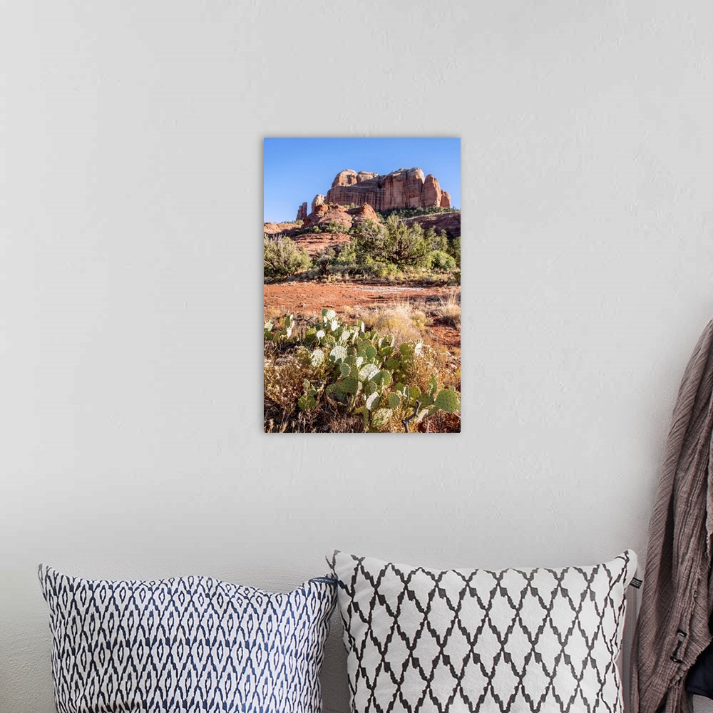 A bohemian room featuring Cathedral Rock in Sedona, Arizona.