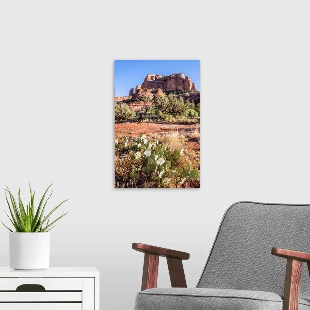 A modern room featuring Cathedral Rock in Sedona, Arizona.