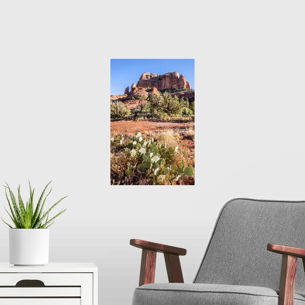 A modern room featuring Cathedral Rock in Sedona, Arizona.