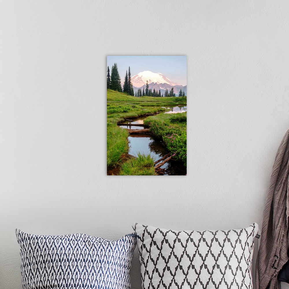 A bohemian room featuring View of Chinnook Creek in Mount Rainier National Park, Washington.