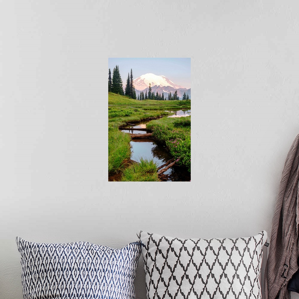A bohemian room featuring View of Chinnook Creek in Mount Rainier National Park, Washington.