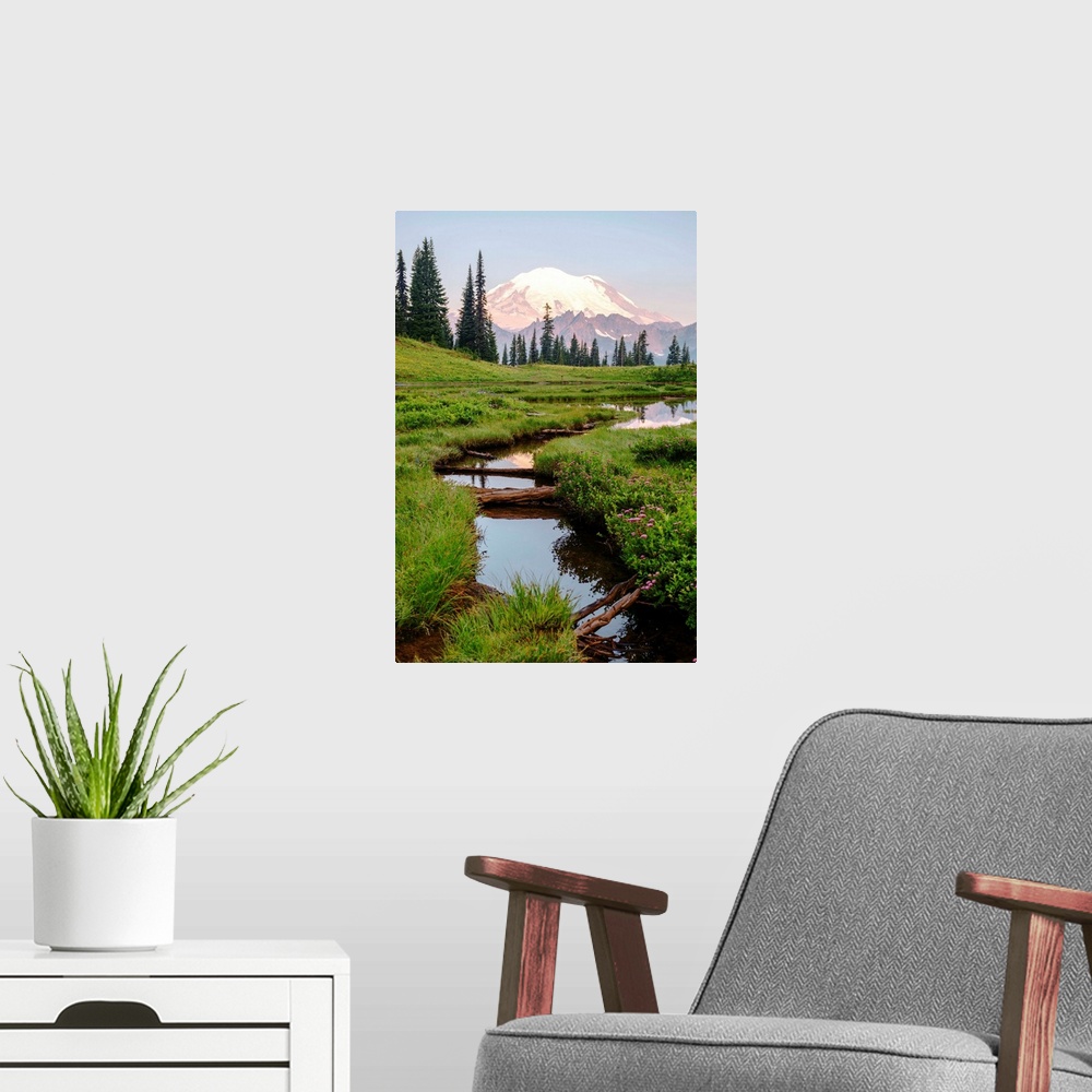 A modern room featuring View of Chinnook Creek in Mount Rainier National Park, Washington.
