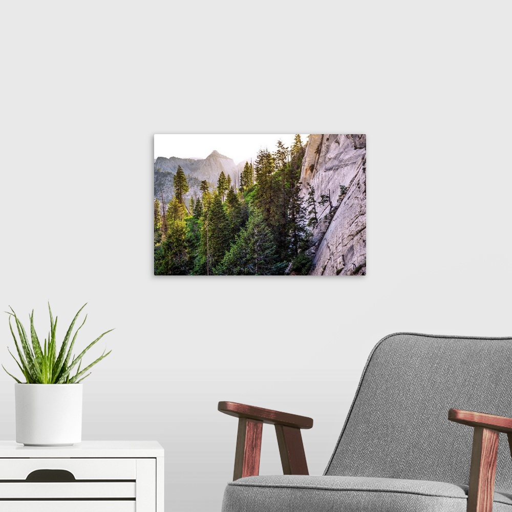A modern room featuring View of a cluster of trees at Zion National Park in Utah.