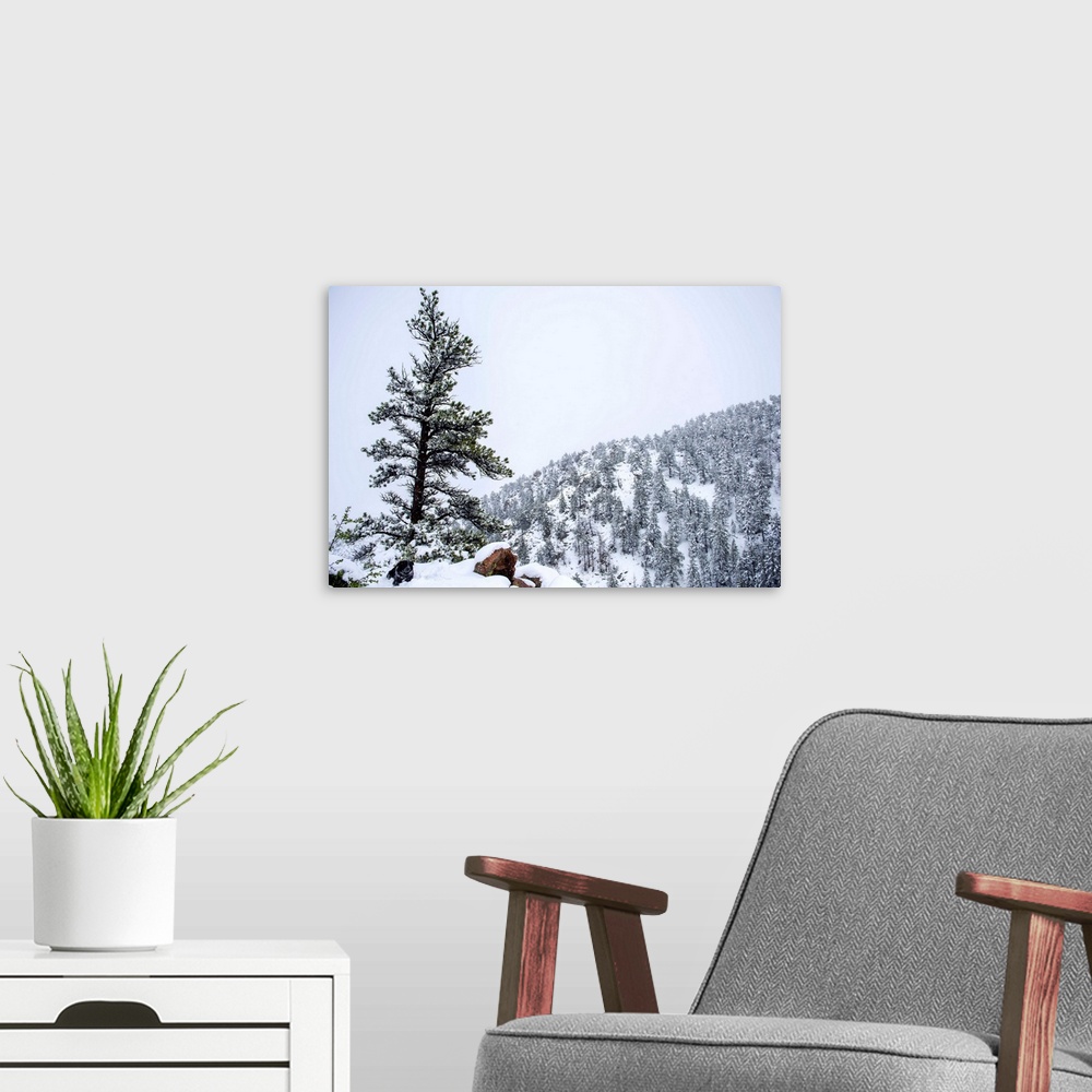 A modern room featuring Snowy forest landscape surrounds a lone tree upon a hill accompanied by a dog.