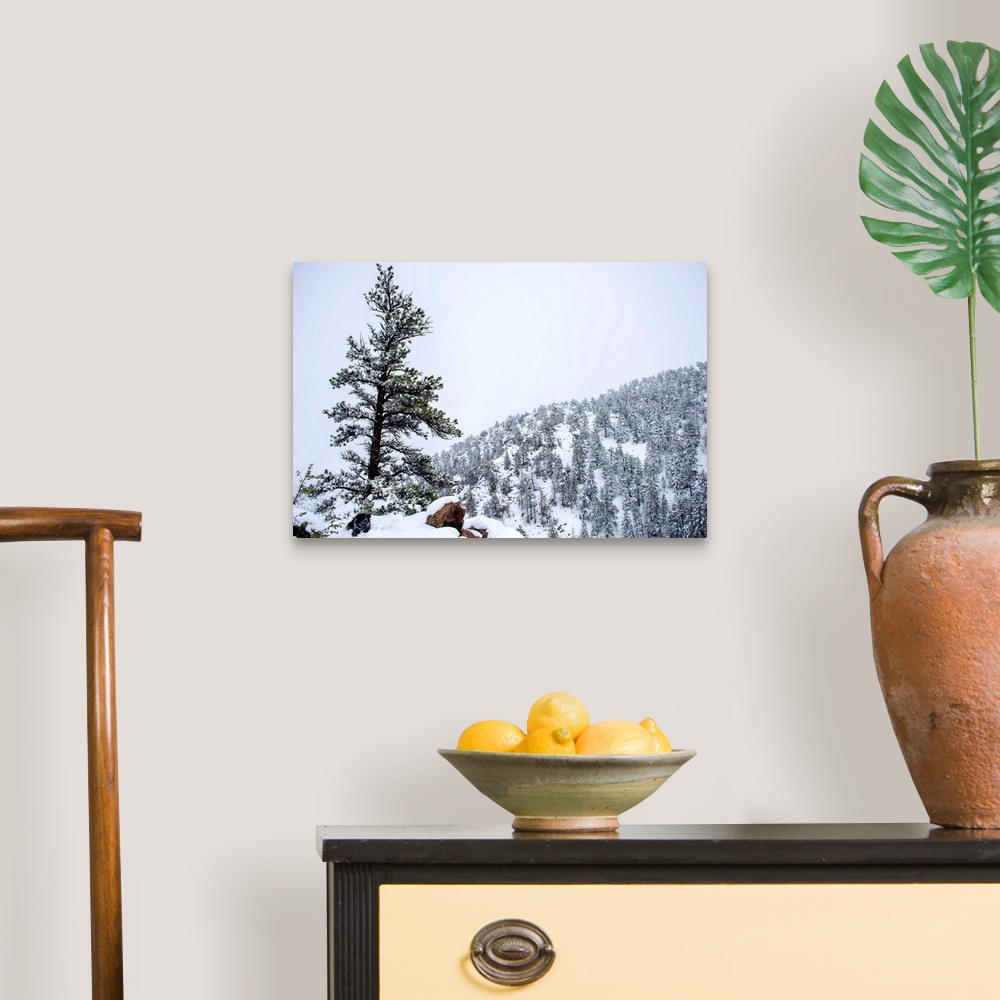 A traditional room featuring Snowy forest landscape surrounds a lone tree upon a hill accompanied by a dog.