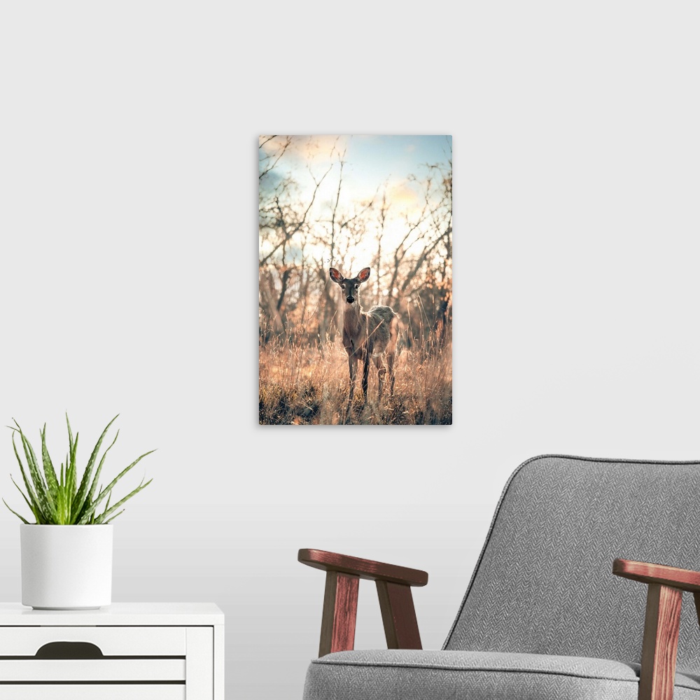A modern room featuring Beautifully lit portrait of a deer in the middle of the woods in Sidecut Metropark.