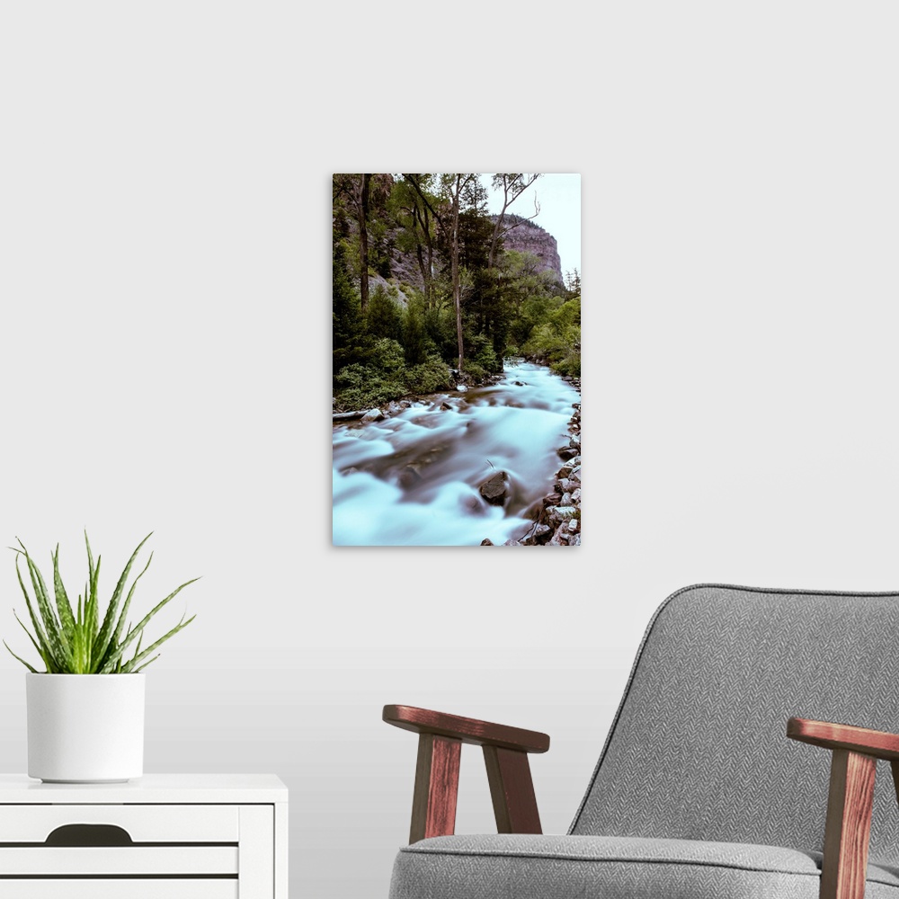 A modern room featuring Photo of a steady stream gently flowing surrounded by a lush green forest.