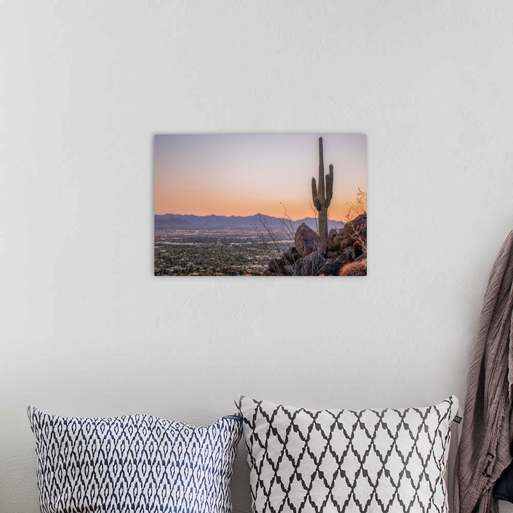 A bohemian room featuring Distant View Of Phoenix with a Saguaro Cactus, Arizona.