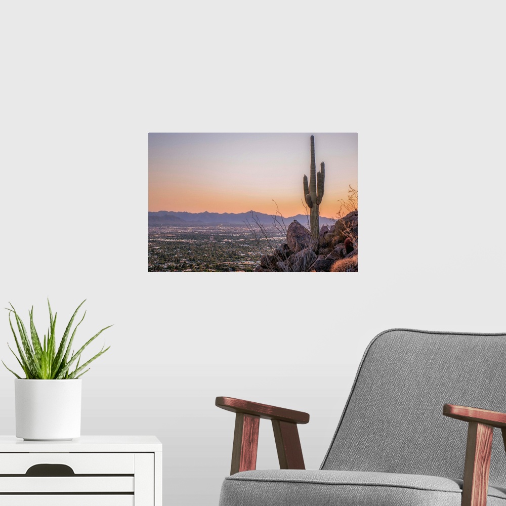 A modern room featuring Distant View Of Phoenix with a Saguaro Cactus, Arizona.