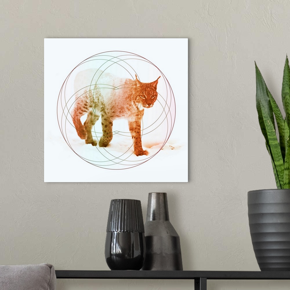 A modern room featuring Double exposure artwork of a lynx and a forest with circular shapes.