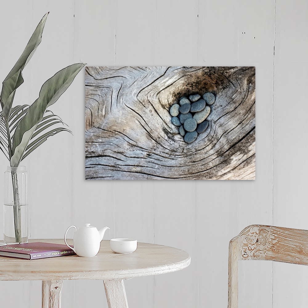 A farmhouse room featuring Photograph of smooth rocks piled on top of a piece of driftwood on the pacific northwest coast.