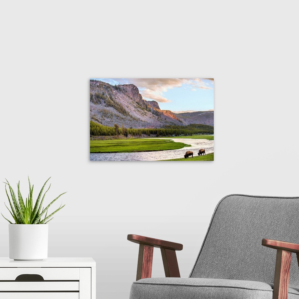 A modern room featuring River along mountains in Yellowstone National Park.