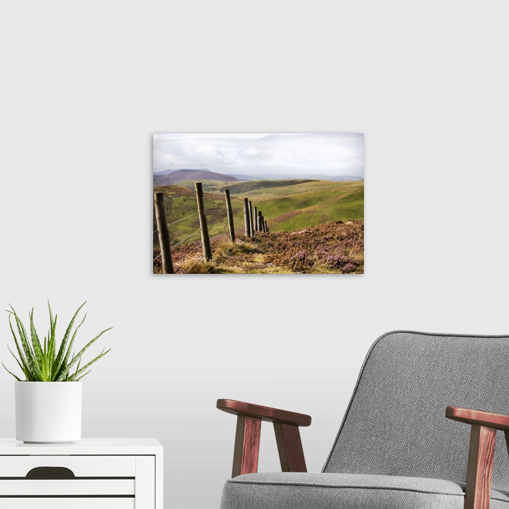 A modern room featuring Photograph of a fence running though rolling hills in an Edinburgh countryside, Scotland, UK