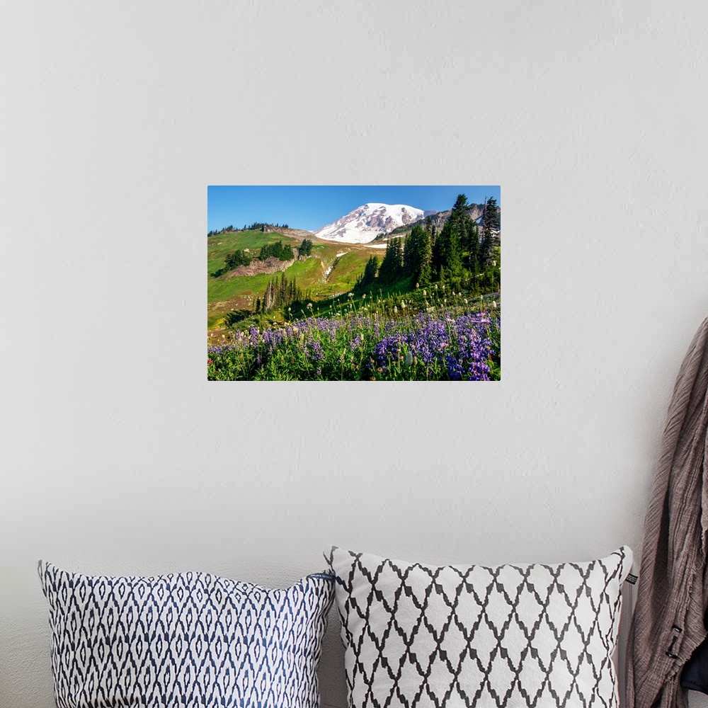 A bohemian room featuring Mount Rainer's renowned wildflowers bloom for a limited amount of time every year.