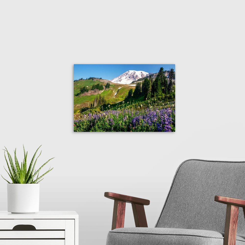 A modern room featuring Mount Rainer's renowned wildflowers bloom for a limited amount of time every year.