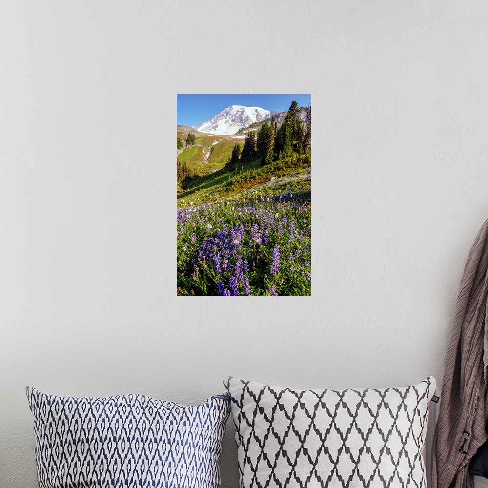 A bohemian room featuring Mount Rainer's renowned wildflowers bloom for a limited amount of time every year.