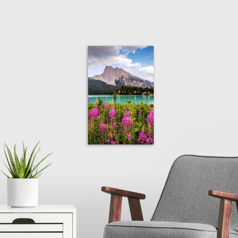A modern room featuring Fireweed flowers near Emerald Lake with Wapta Mountain in Yoho National Park, British Columbia, C...