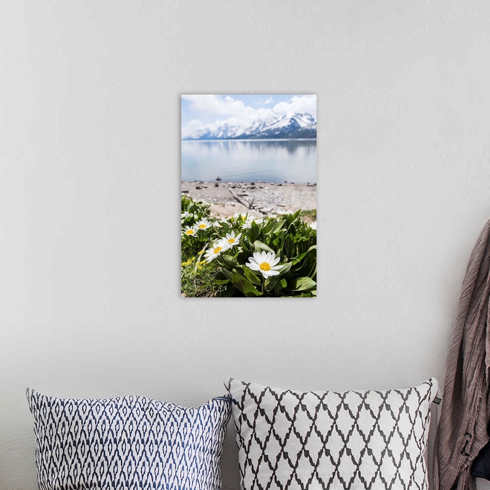 A bohemian room featuring Photograph of beautiful Spring flowers in front of Jackson Lake with the Grand Tetons in the back...