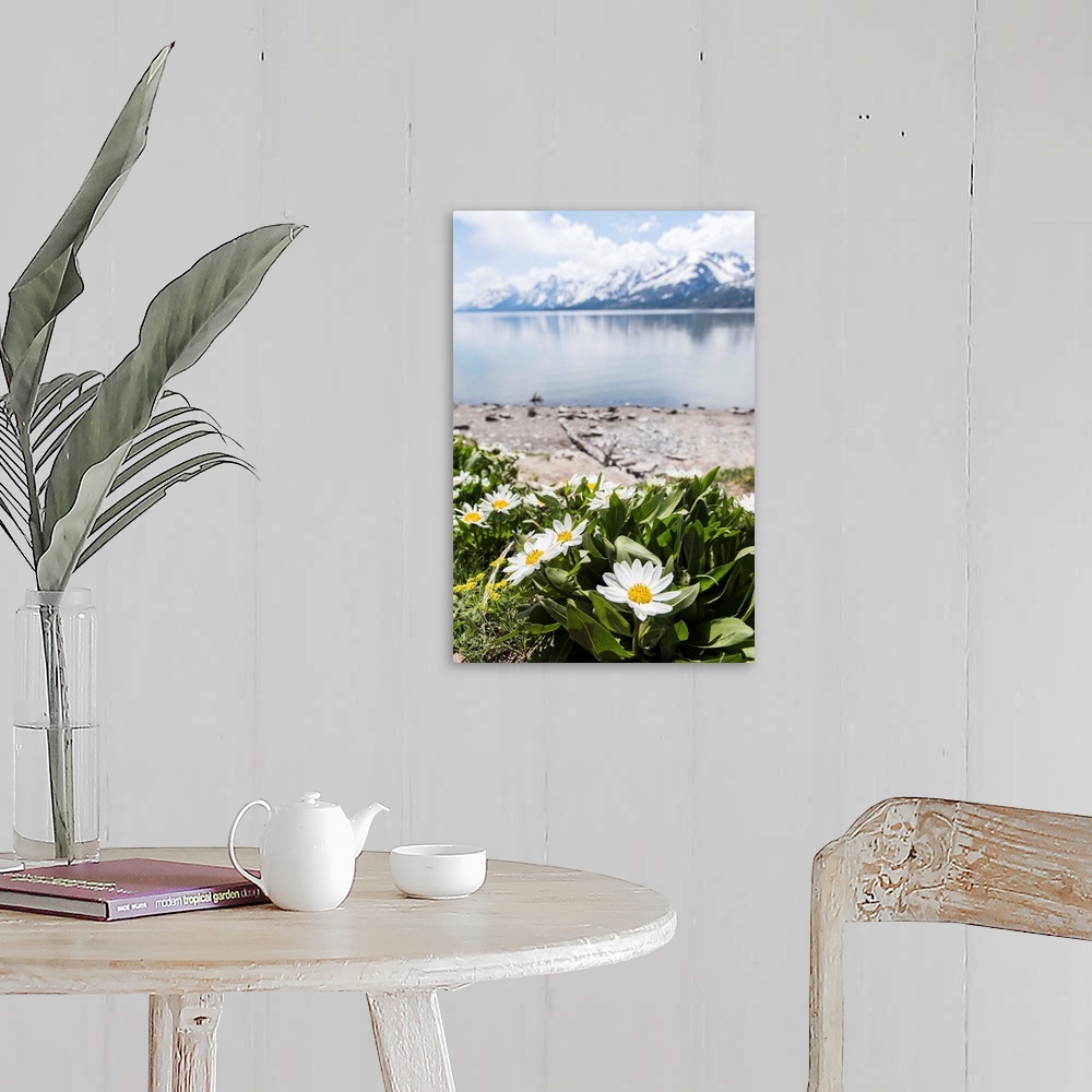 A farmhouse room featuring Photograph of beautiful Spring flowers in front of Jackson Lake with the Grand Tetons in the back...