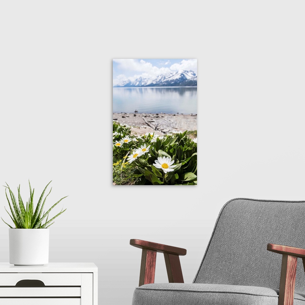 A modern room featuring Photograph of beautiful Spring flowers in front of Jackson Lake with the Grand Tetons in the back...