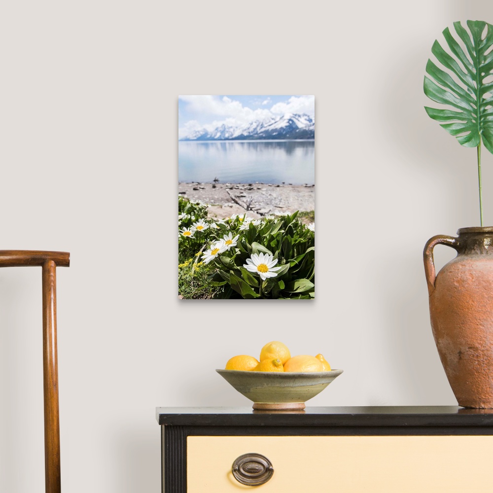 A traditional room featuring Photograph of beautiful Spring flowers in front of Jackson Lake with the Grand Tetons in the back...