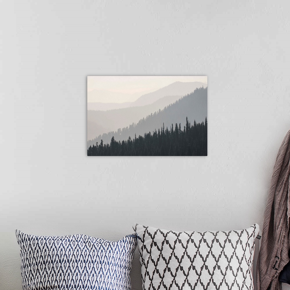 A bohemian room featuring Foggy view of Hurricane Ridge in Olympic National Park, Washington.