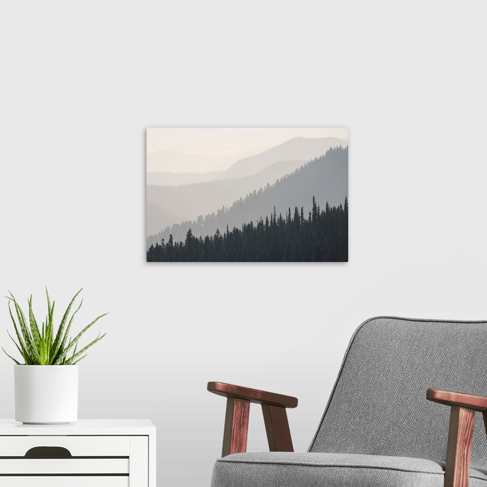 A modern room featuring Foggy view of Hurricane Ridge in Olympic National Park, Washington.