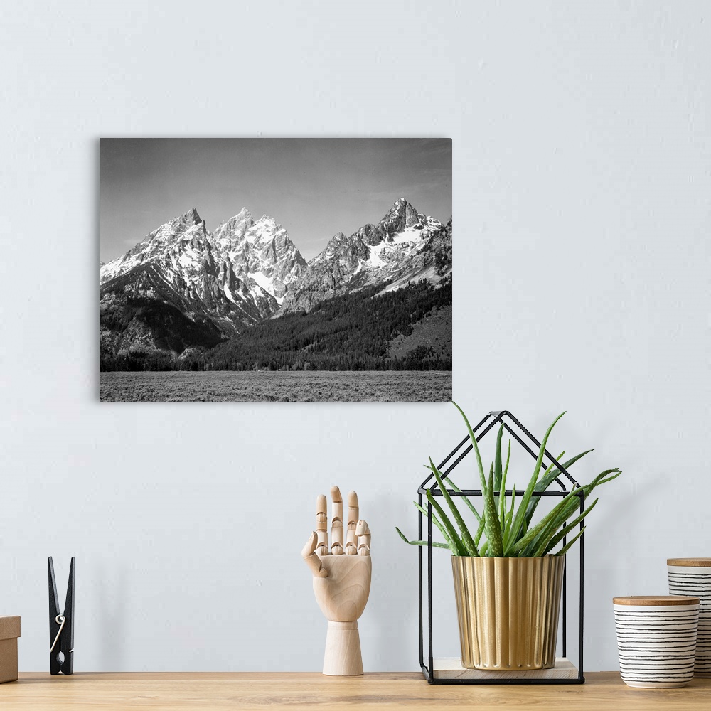 A bohemian room featuring Grand Teton, grassy valley, tree covered mountain side and snow covered peaks.