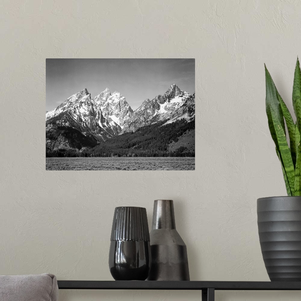 A modern room featuring Grand Teton, grassy valley, tree covered mountain side and snow covered peaks.