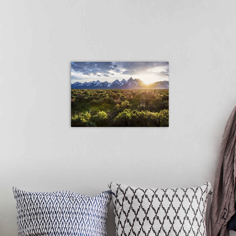 A bohemian room featuring Field of Big Sagebrush growing in Grand Teton National Park at sunset, Jackson, Wyoming