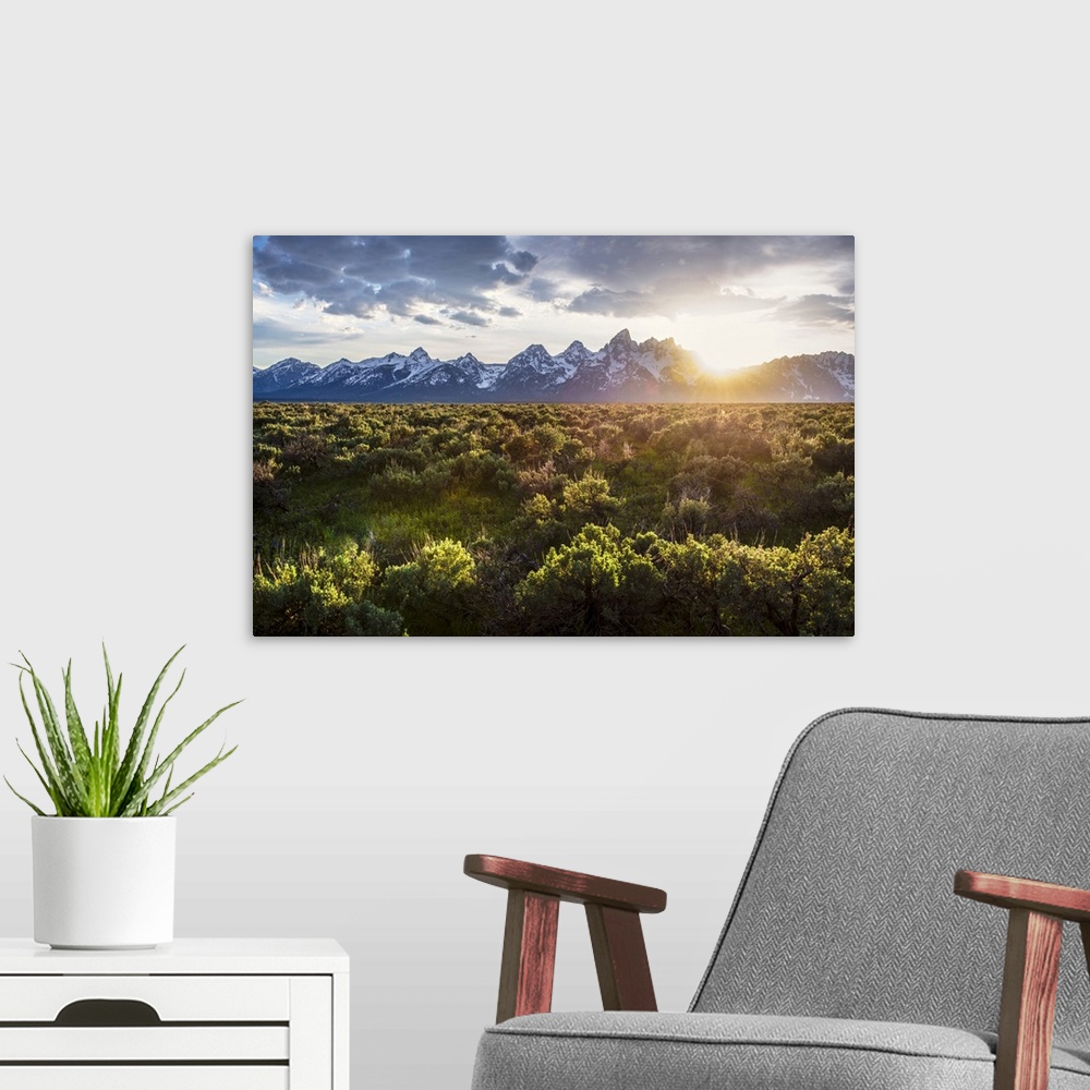 A modern room featuring Field of Big Sagebrush growing in Grand Teton National Park at sunset, Jackson, Wyoming