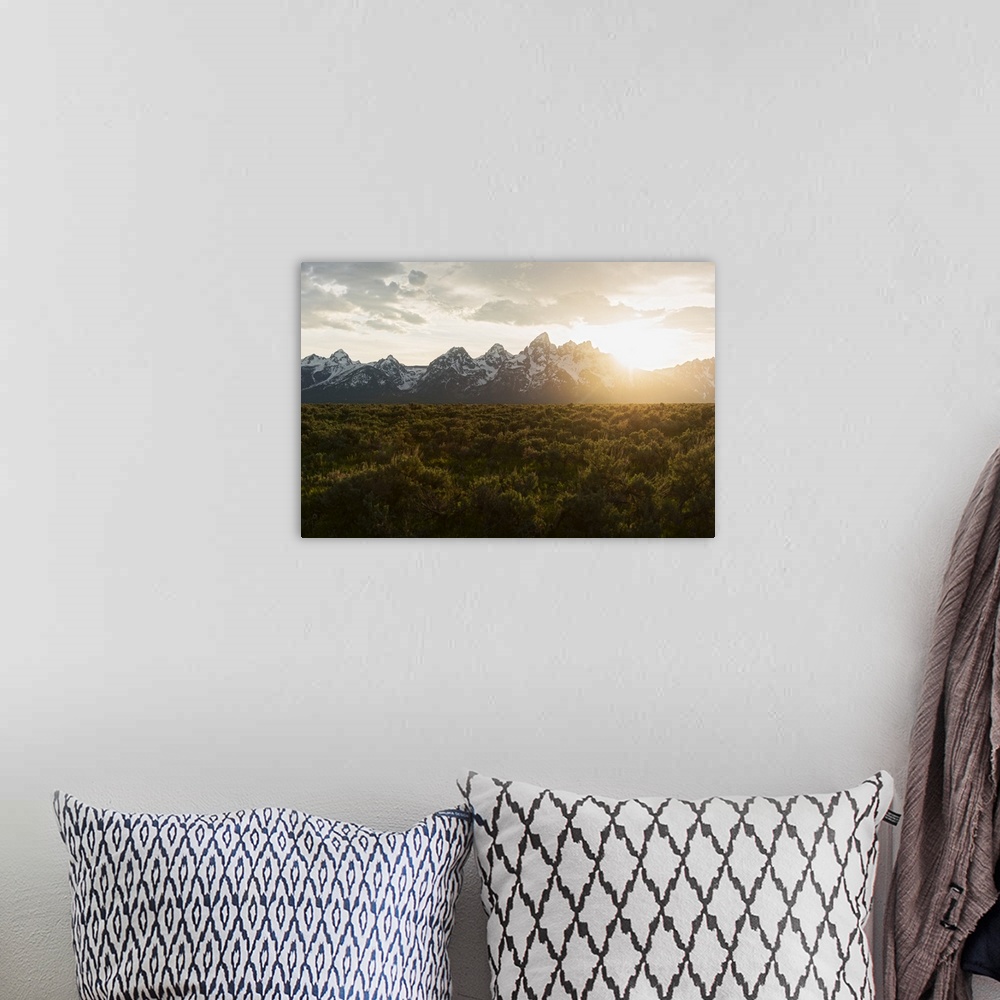 A bohemian room featuring Field of Big Sagebrush growing in Grand Teton National Park at sunset, Jackson, Wyoming