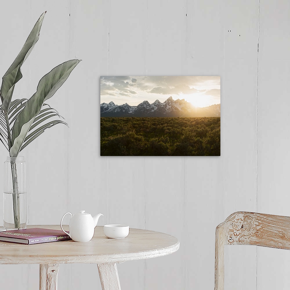 A farmhouse room featuring Field of Big Sagebrush growing in Grand Teton National Park at sunset, Jackson, Wyoming