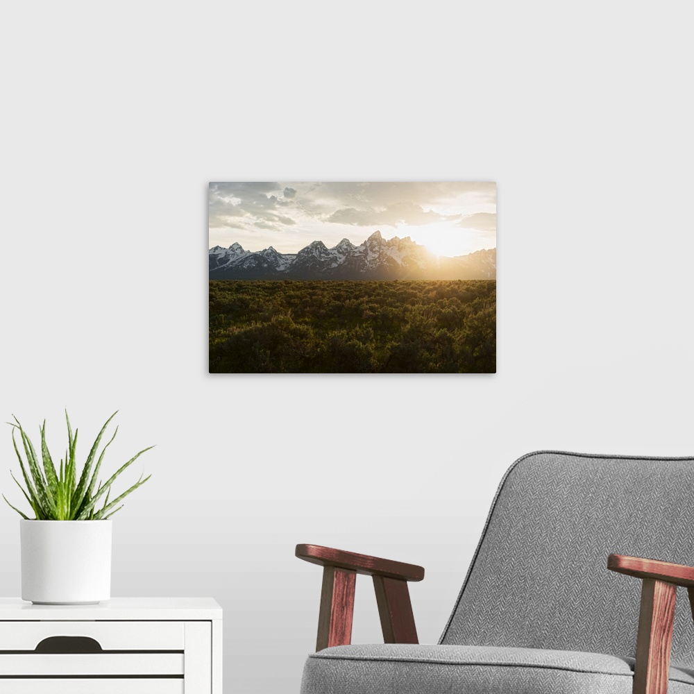 A modern room featuring Field of Big Sagebrush growing in Grand Teton National Park at sunset, Jackson, Wyoming
