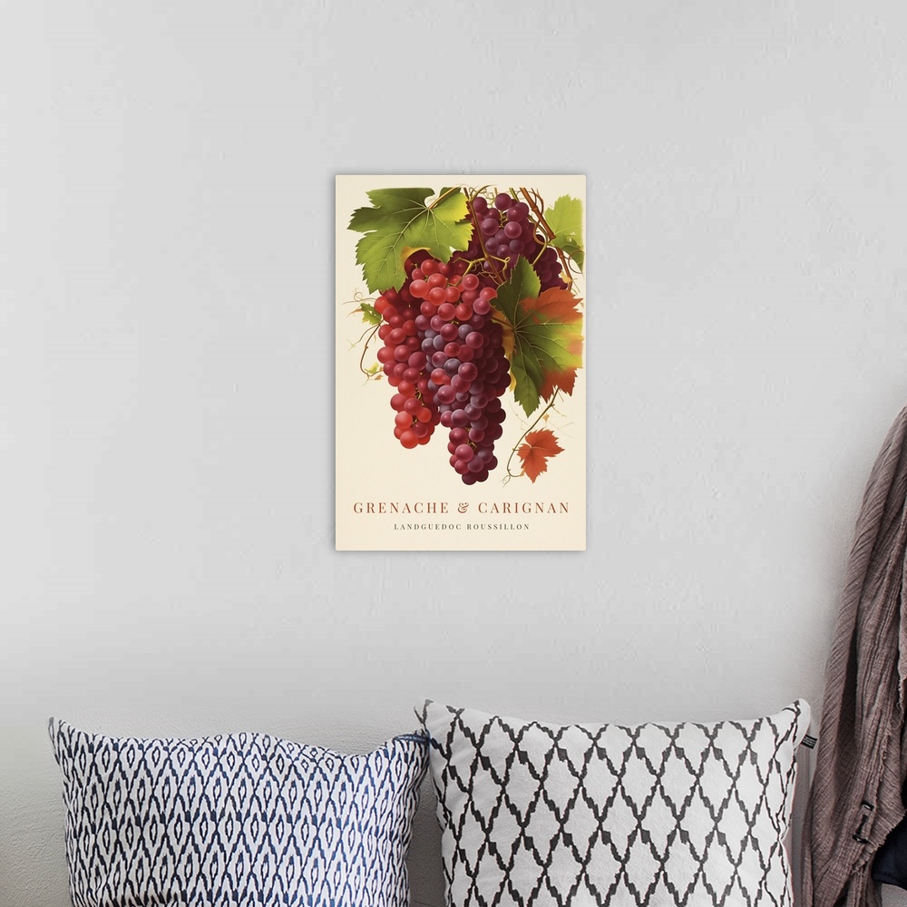 A bohemian room featuring Grenache And Carignan - Retro Wine Advertising Poster