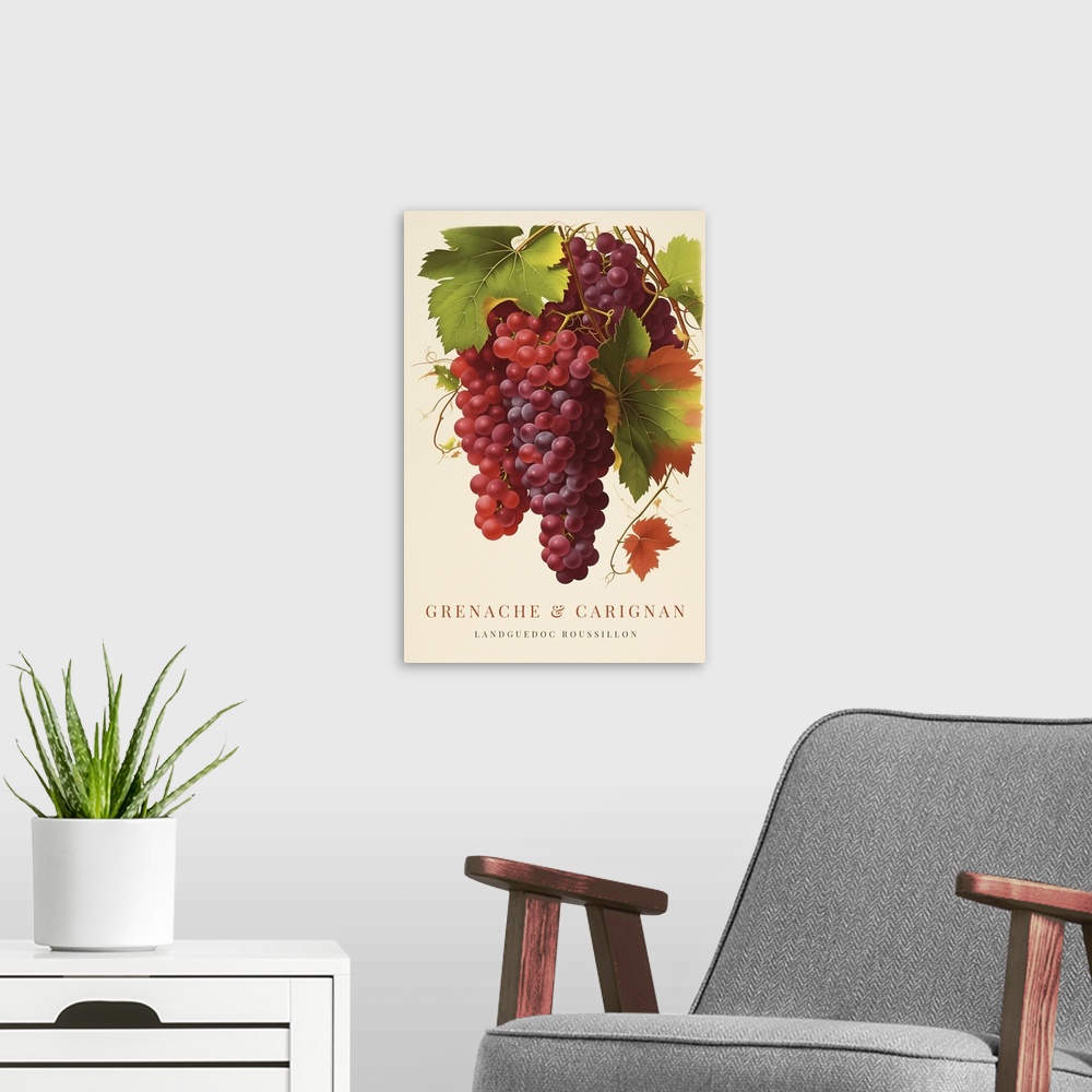 A modern room featuring Grenache And Carignan - Retro Wine Advertising Poster