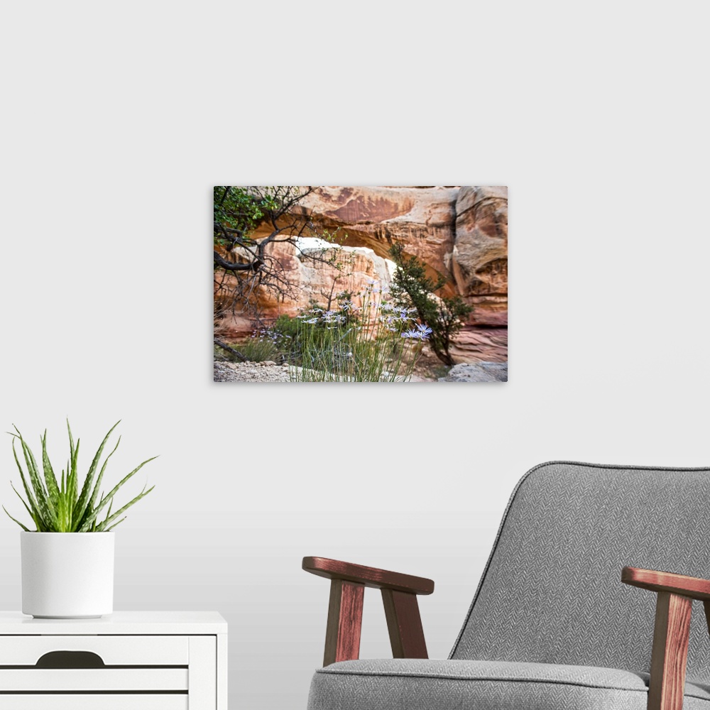 A modern room featuring Hickman Bridge arch at Capitol Reef National Park in Utah.