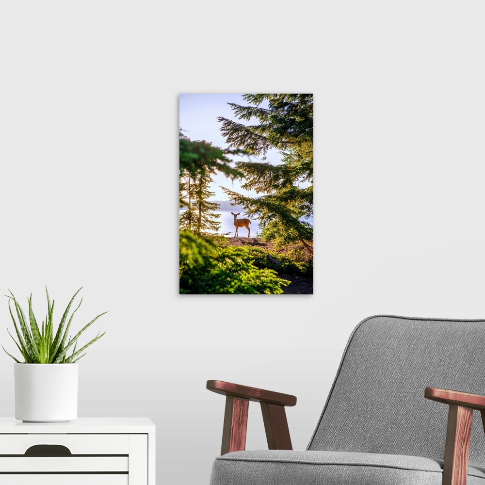 A modern room featuring View of a lone deer at Crater Lake in Oregon.
