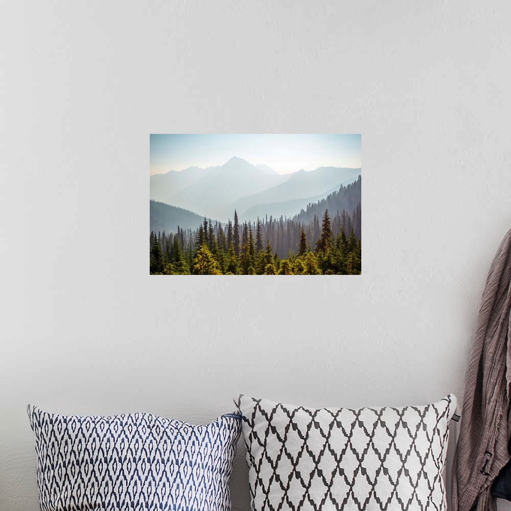 A bohemian room featuring View of Hurricane Ridge with Mount Angeles in the background, Olympic National Park, Washington.